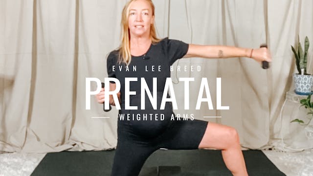 Prenatal Weighted Arms 