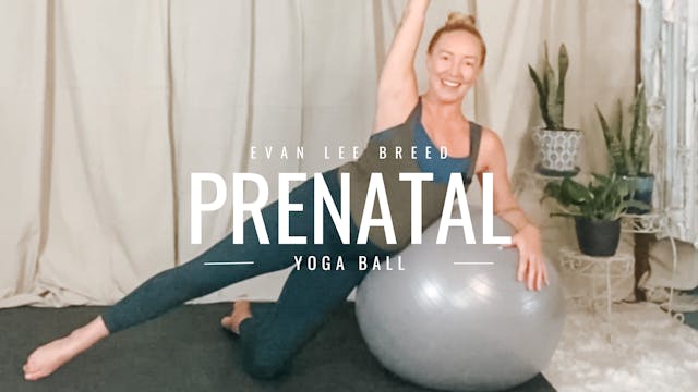 Prenatal Yoga Ball
