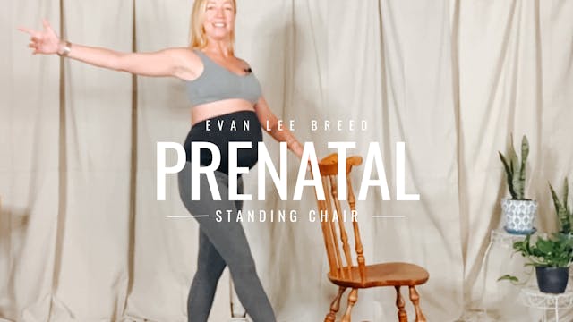 Prenatal Standing Chair