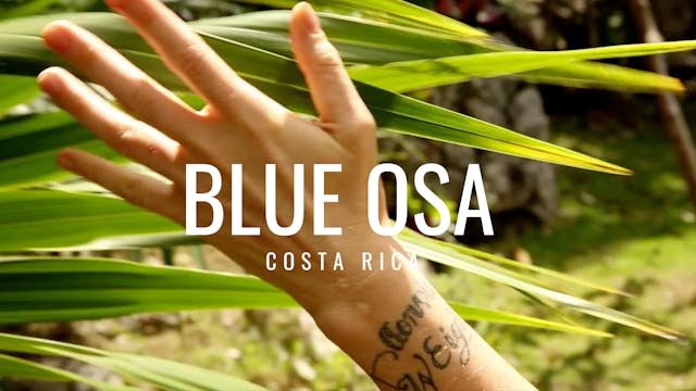 Adventures at Blue Osa