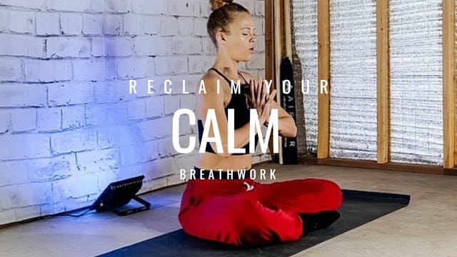 Reclaim Your Calm Trailer