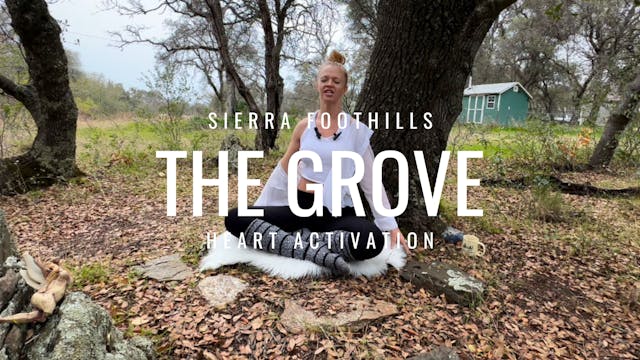 The Grove: A Heart Activation