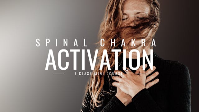 Spinal Chakra Activation- 7 Class Series