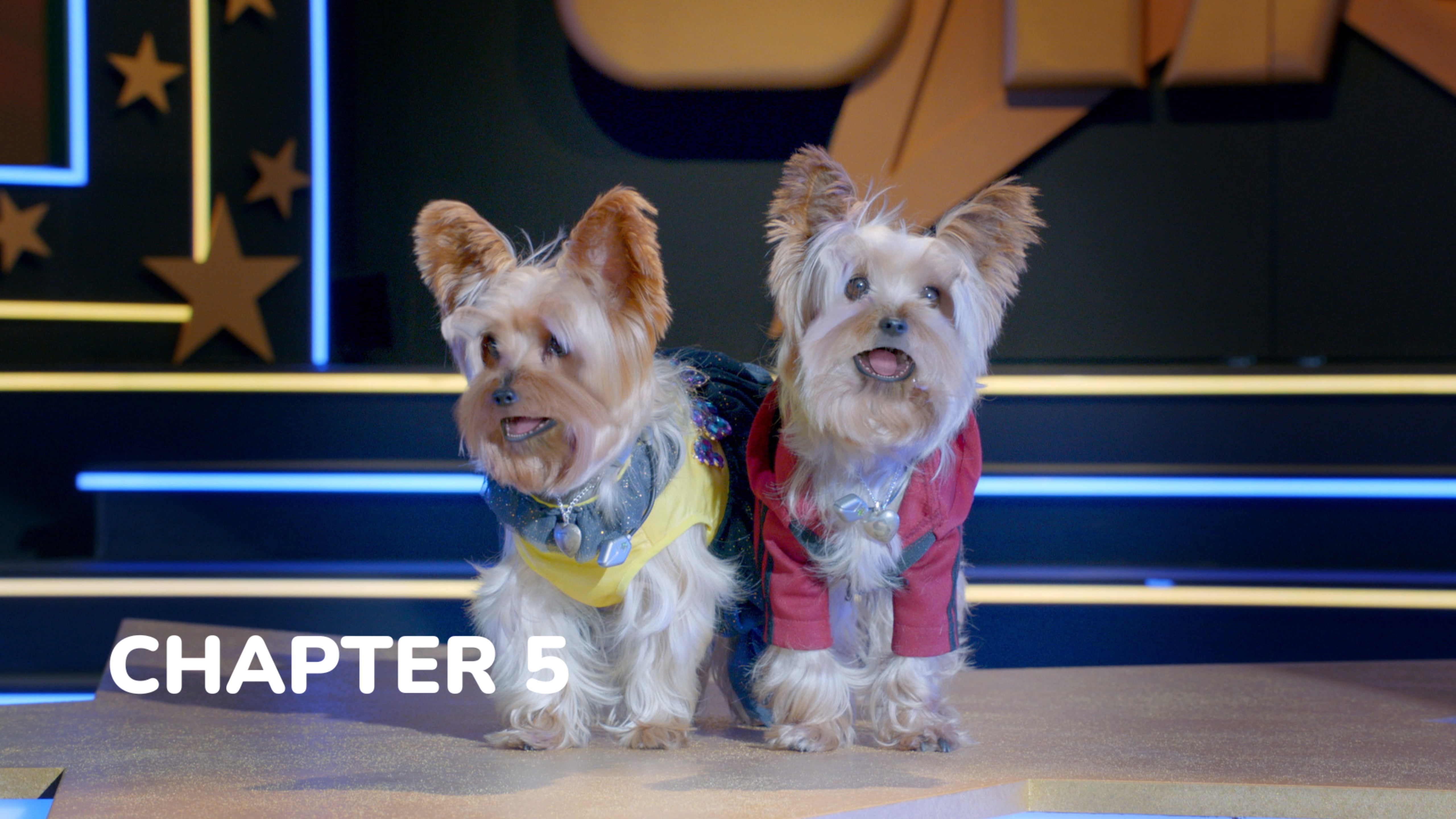 Pup Star: Better 2Gether - Chapter 5: Better Two Gether or Sister Forever