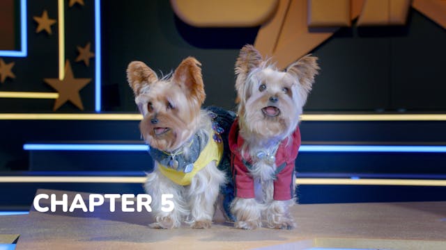 Pup Star: Better 2Gether - Chapter 5:...