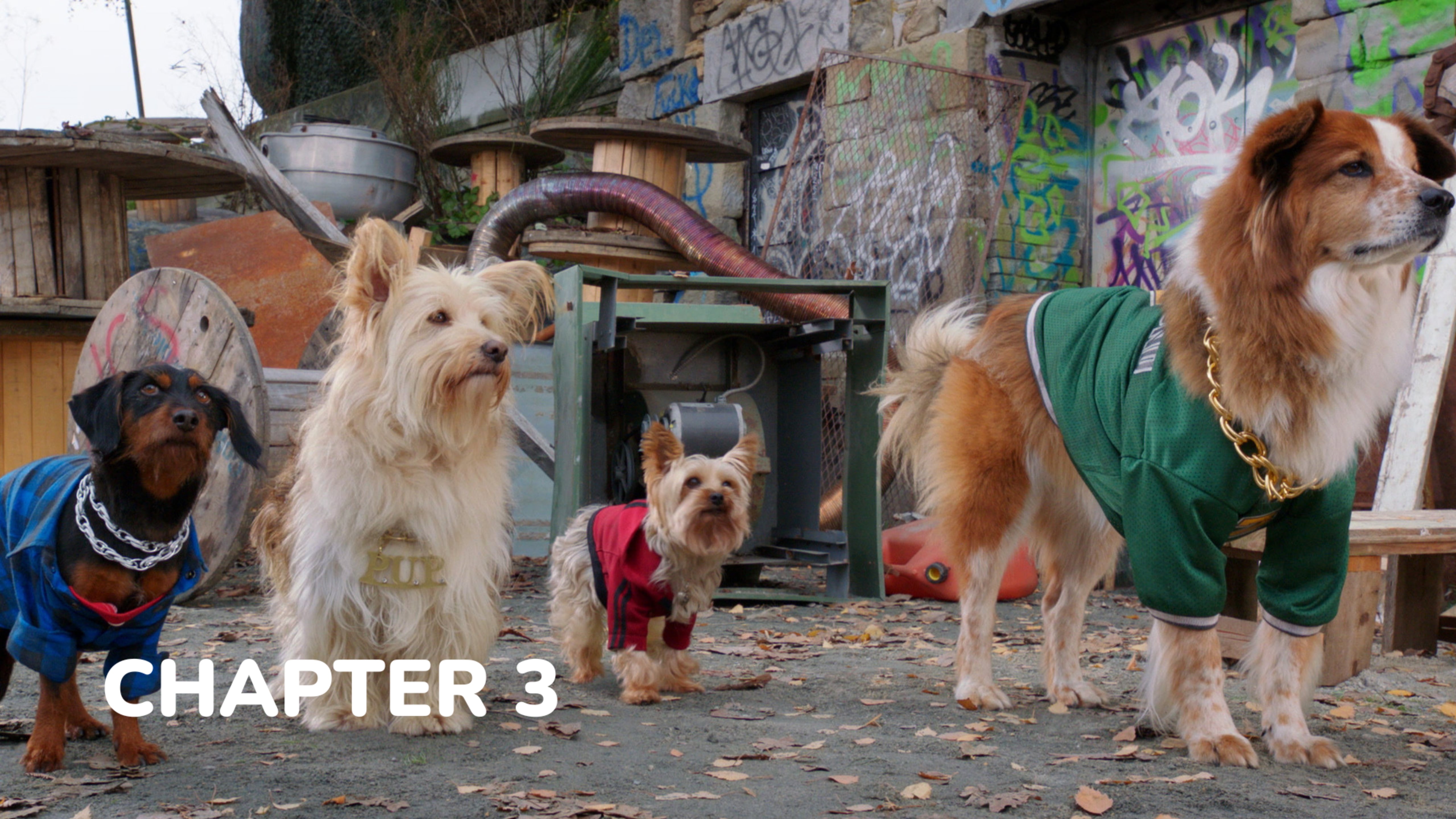 Pup Star: Better 2Gether - Chapter 3: Pup With an Attitude