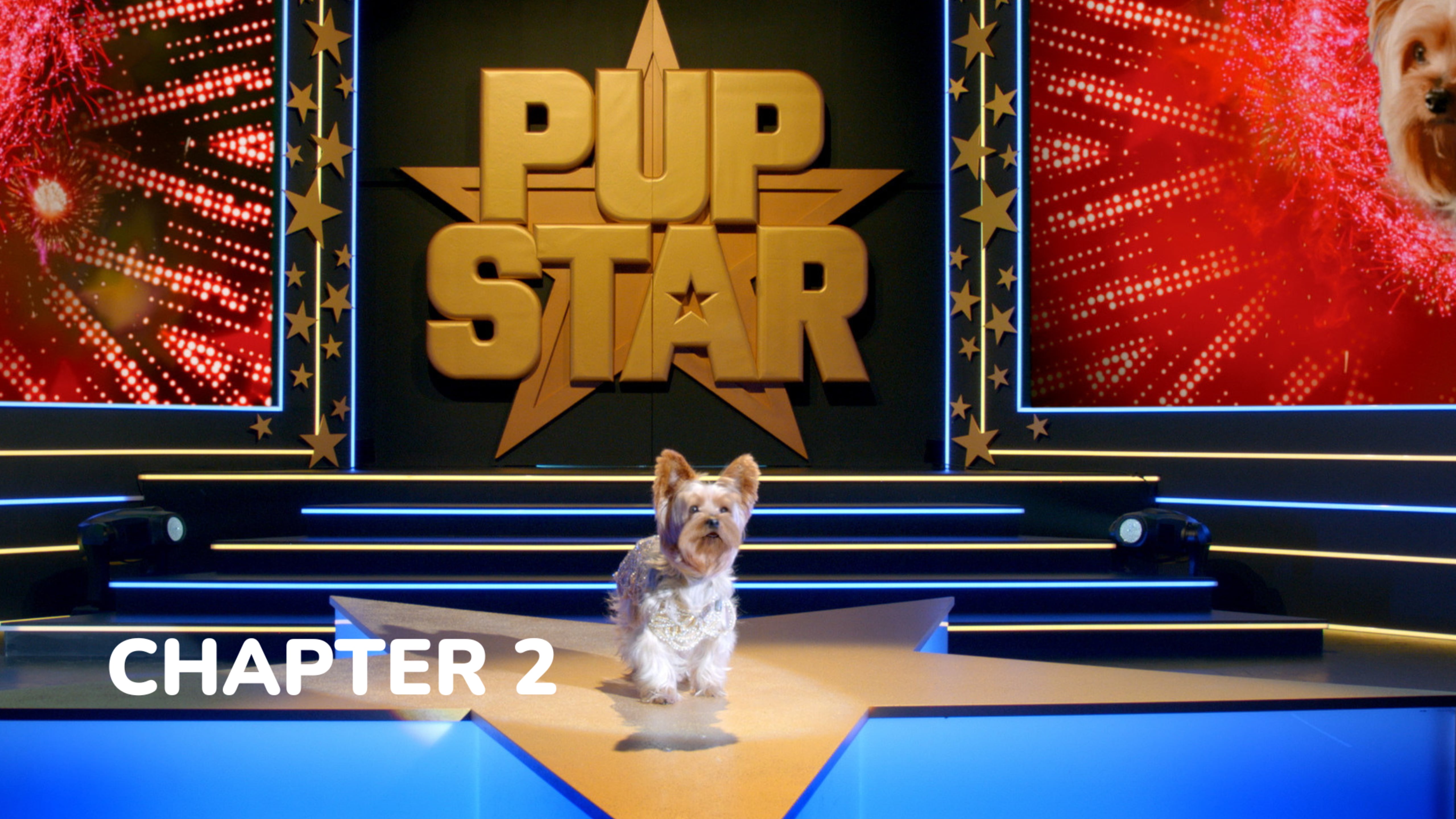 Pup Star: Better 2Gether - Chapter 2: Imposter Swap or Alter Ego?
