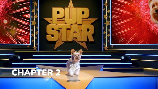 Pup Star: Better 2Gether - Chapter 2:...
