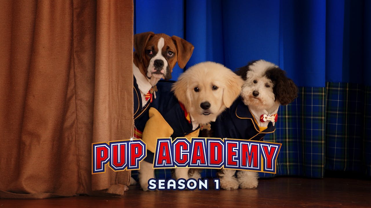 Pup Academy: Season 1