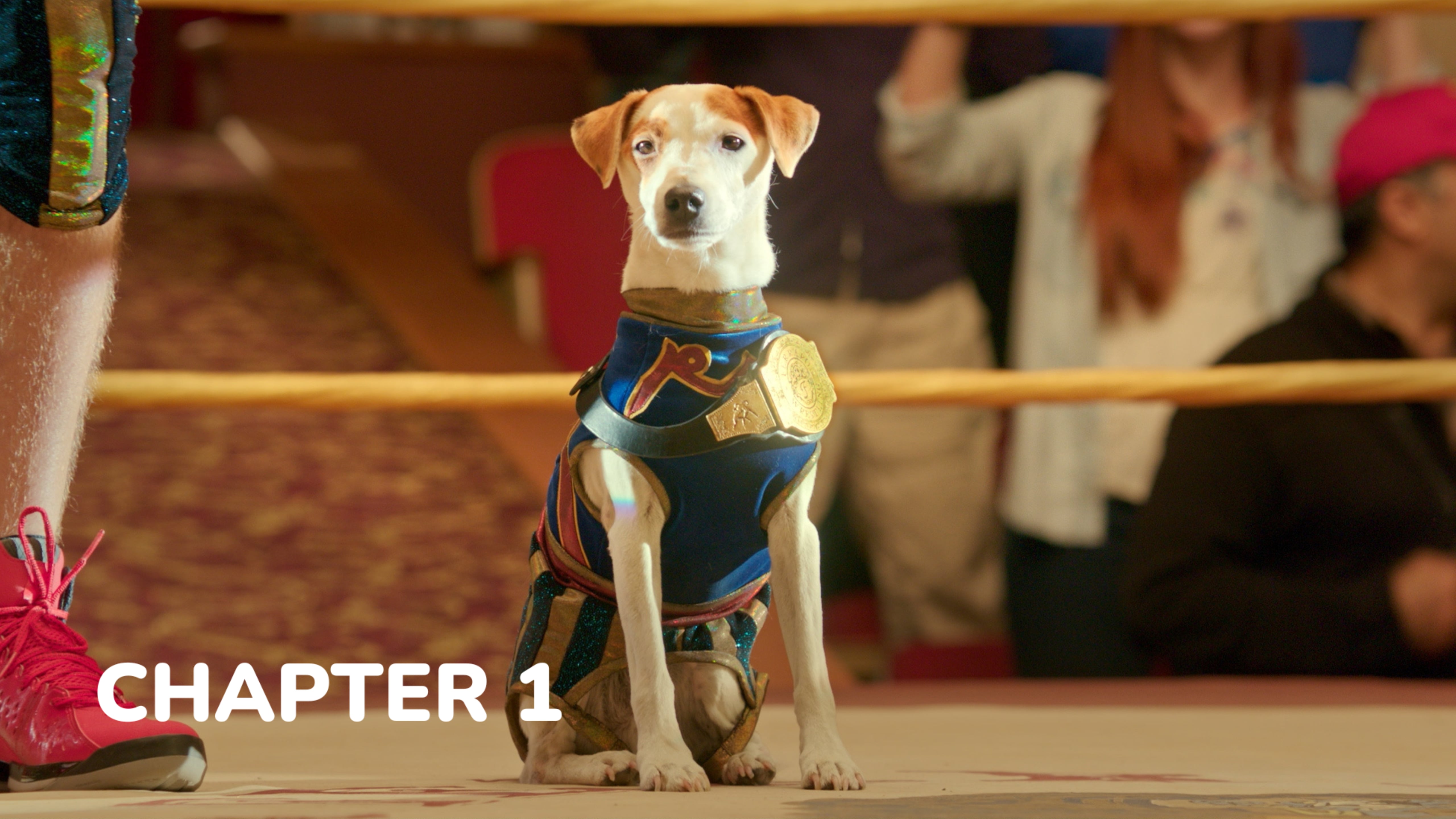 Russell Madness - Chapter 1: Ferraro Family Business