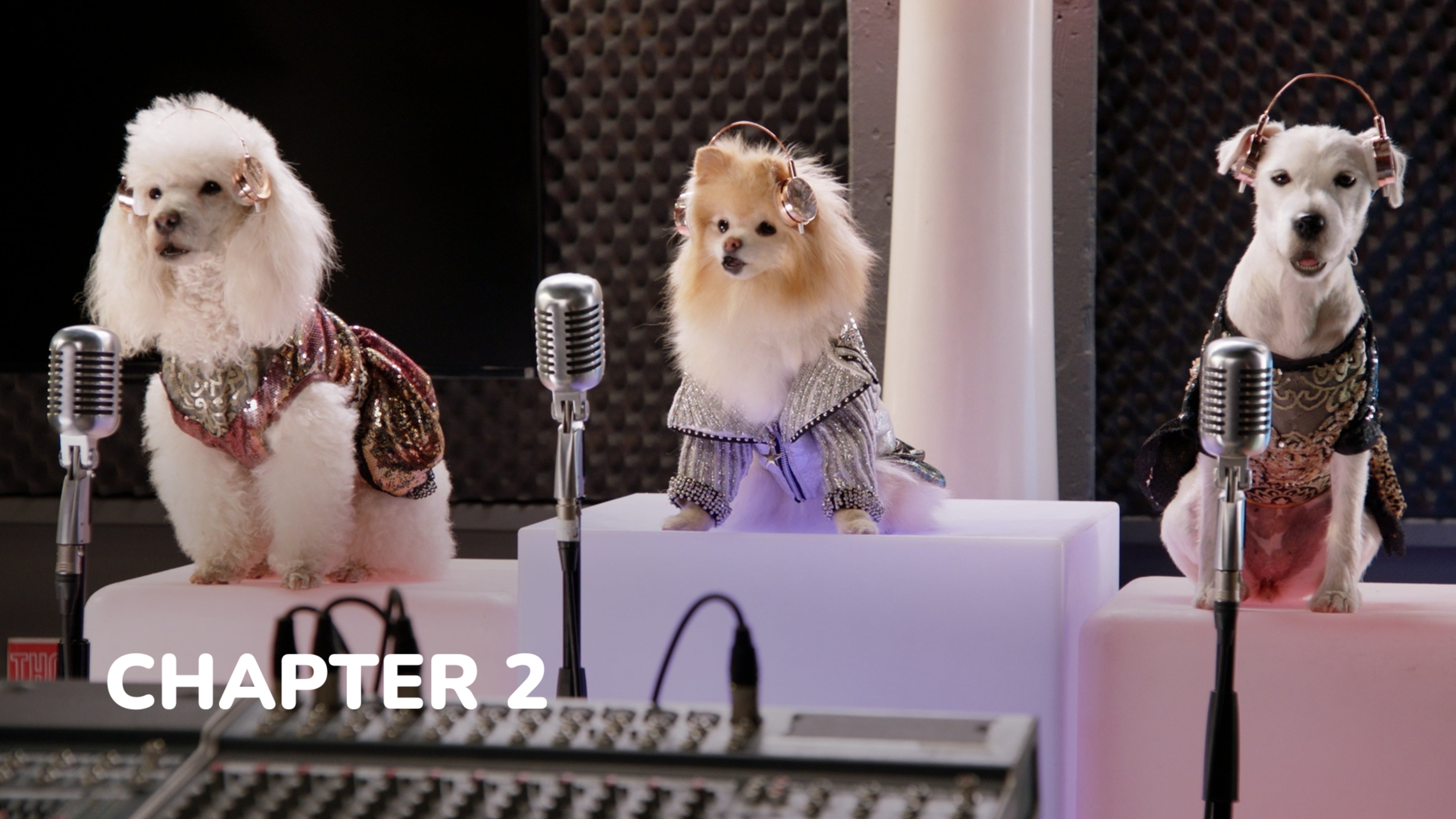 Pup Star: World Tour - Chapter 2: Around the World