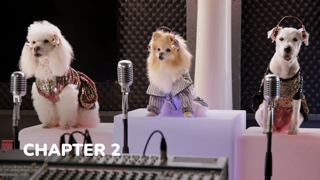 Pup Star: World Tour - Chapter 2: Aro...