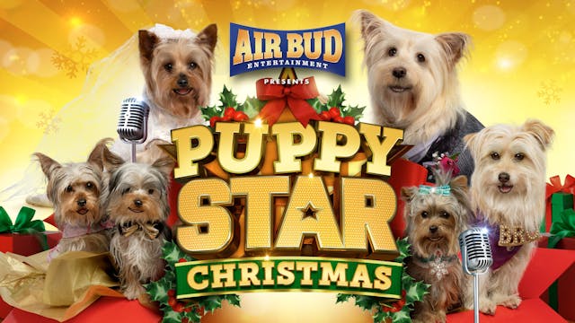 Puppy Star Christmas