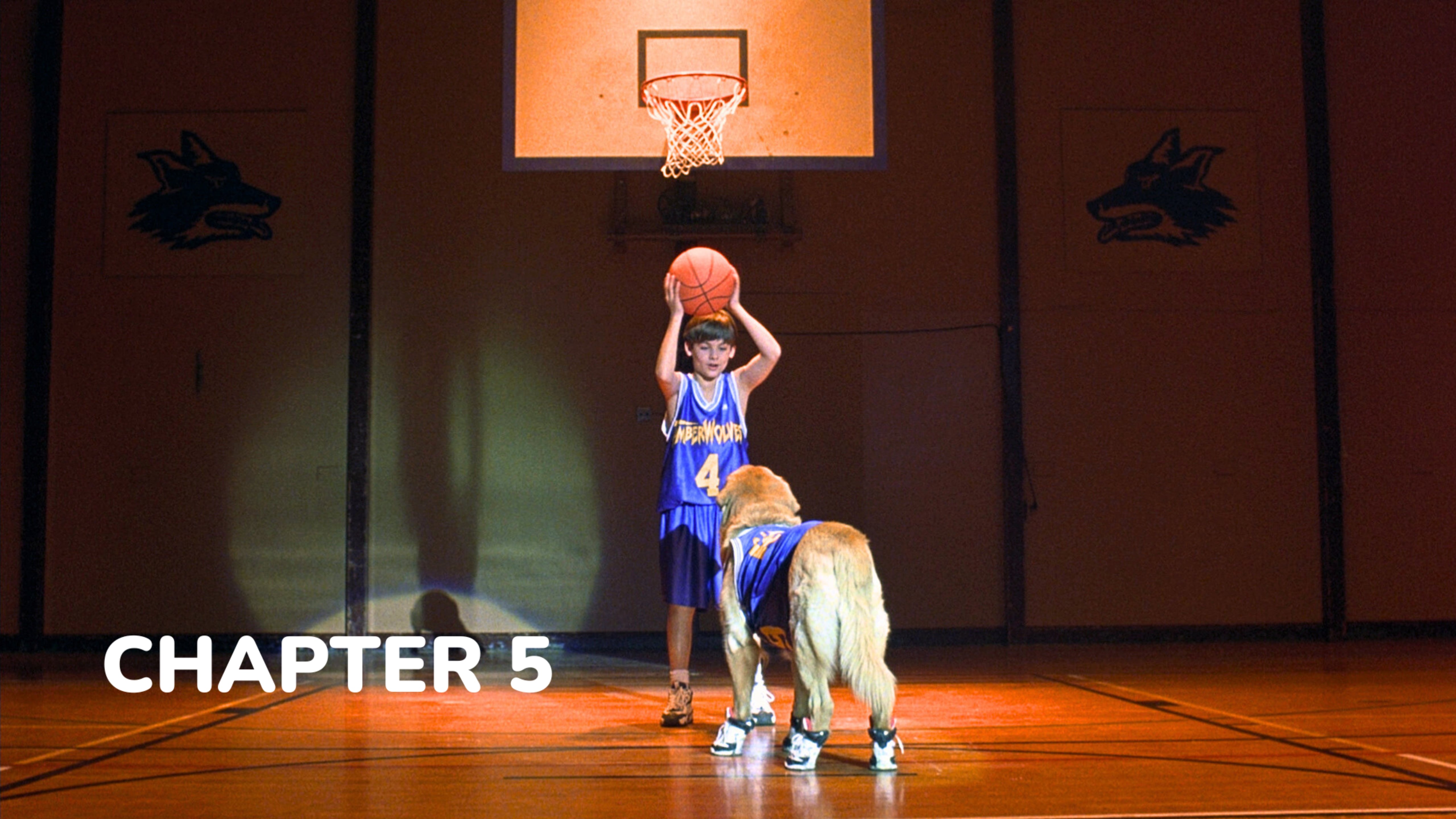 Air Bud - Chapter 5: Ain't No Rules