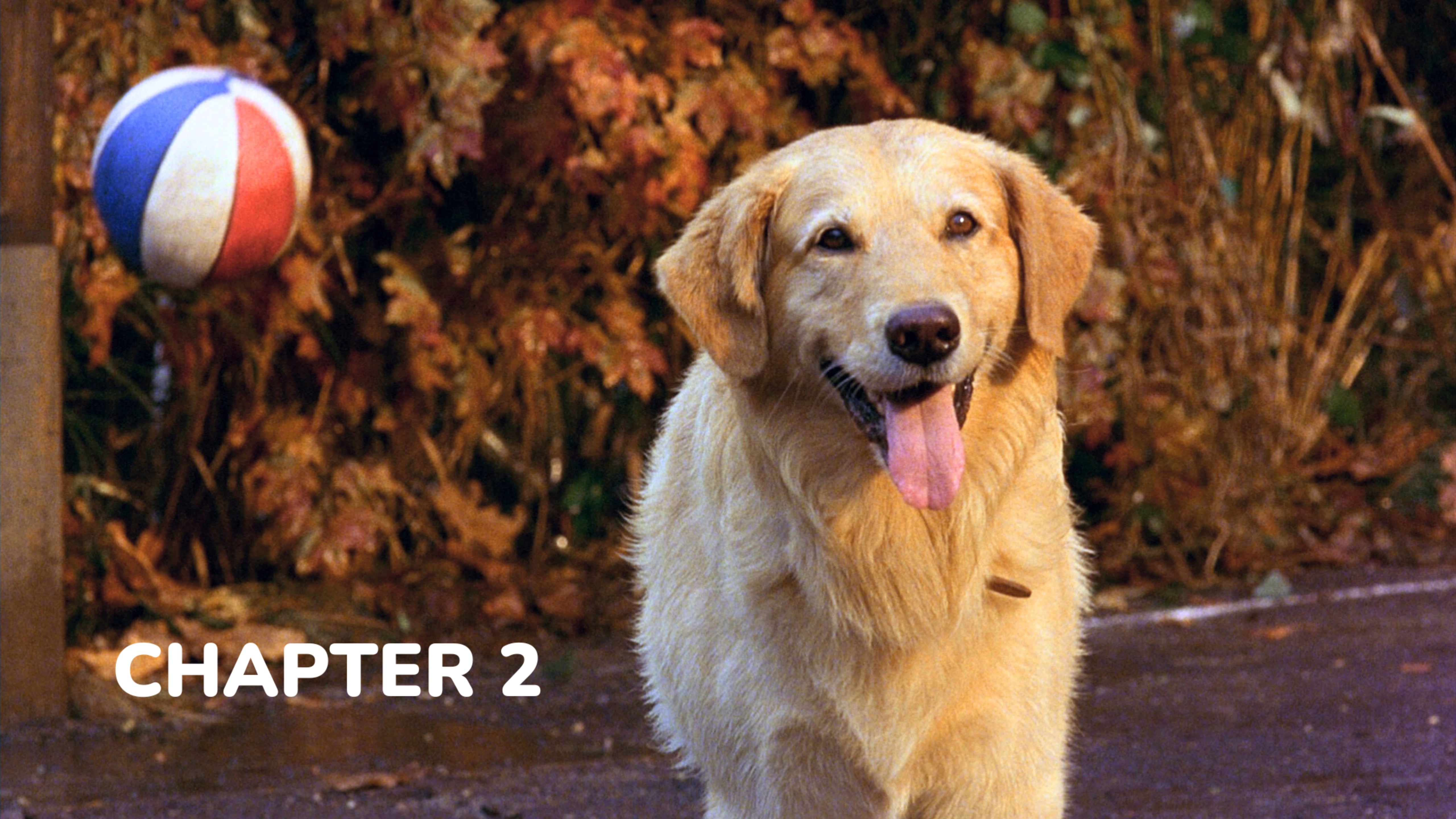 Air Bud - Chapter 2: Best Friends