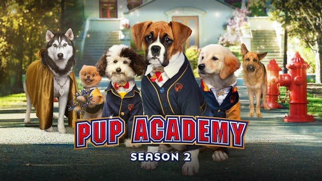 Pup Academy: Season 2