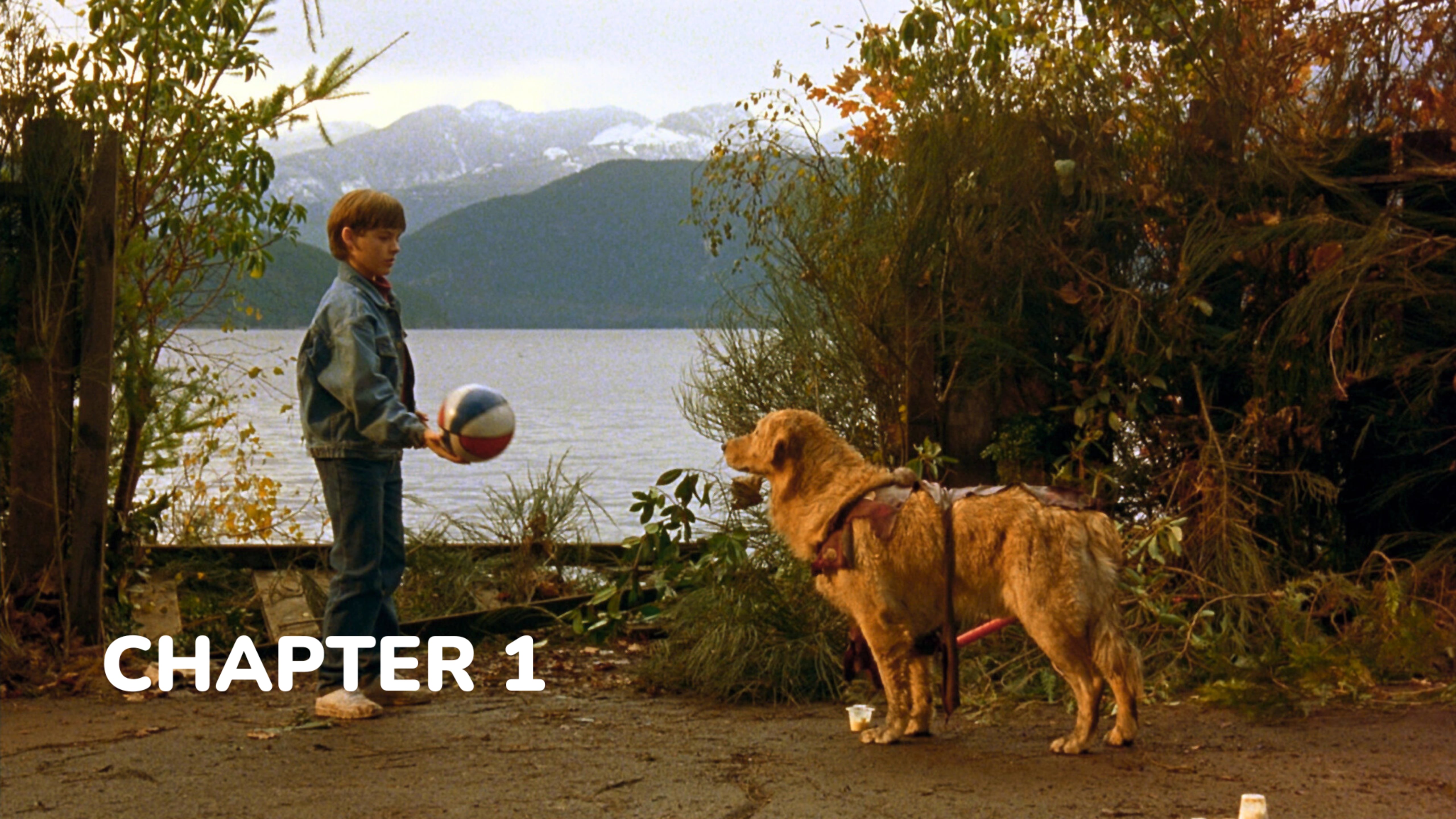 Air Bud - Chapter 1