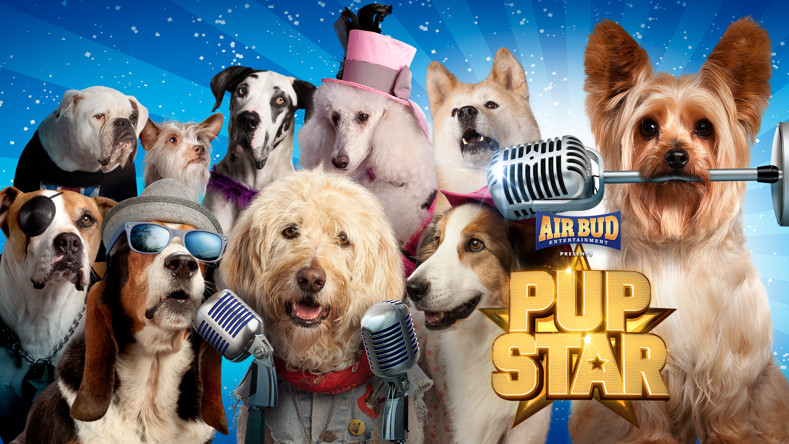 Pup Star - The Chaptered Edition