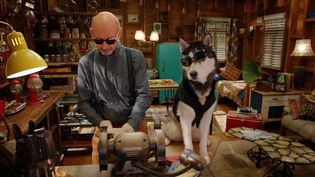 Pup Academy S1: 1. The Stray's First Day