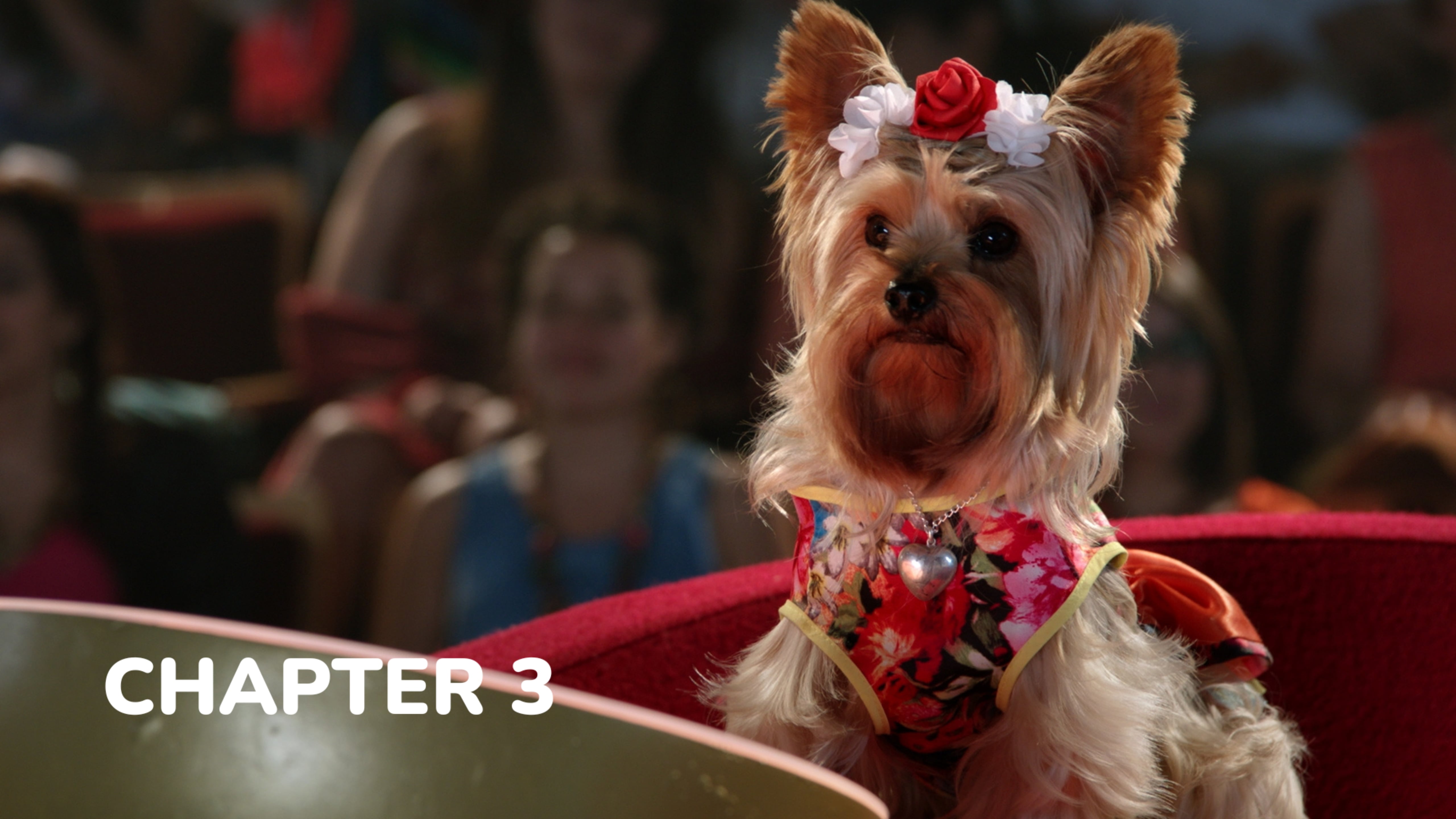 Pup Star: World Tour - Chapter 3: Mi Casa es tu Casa