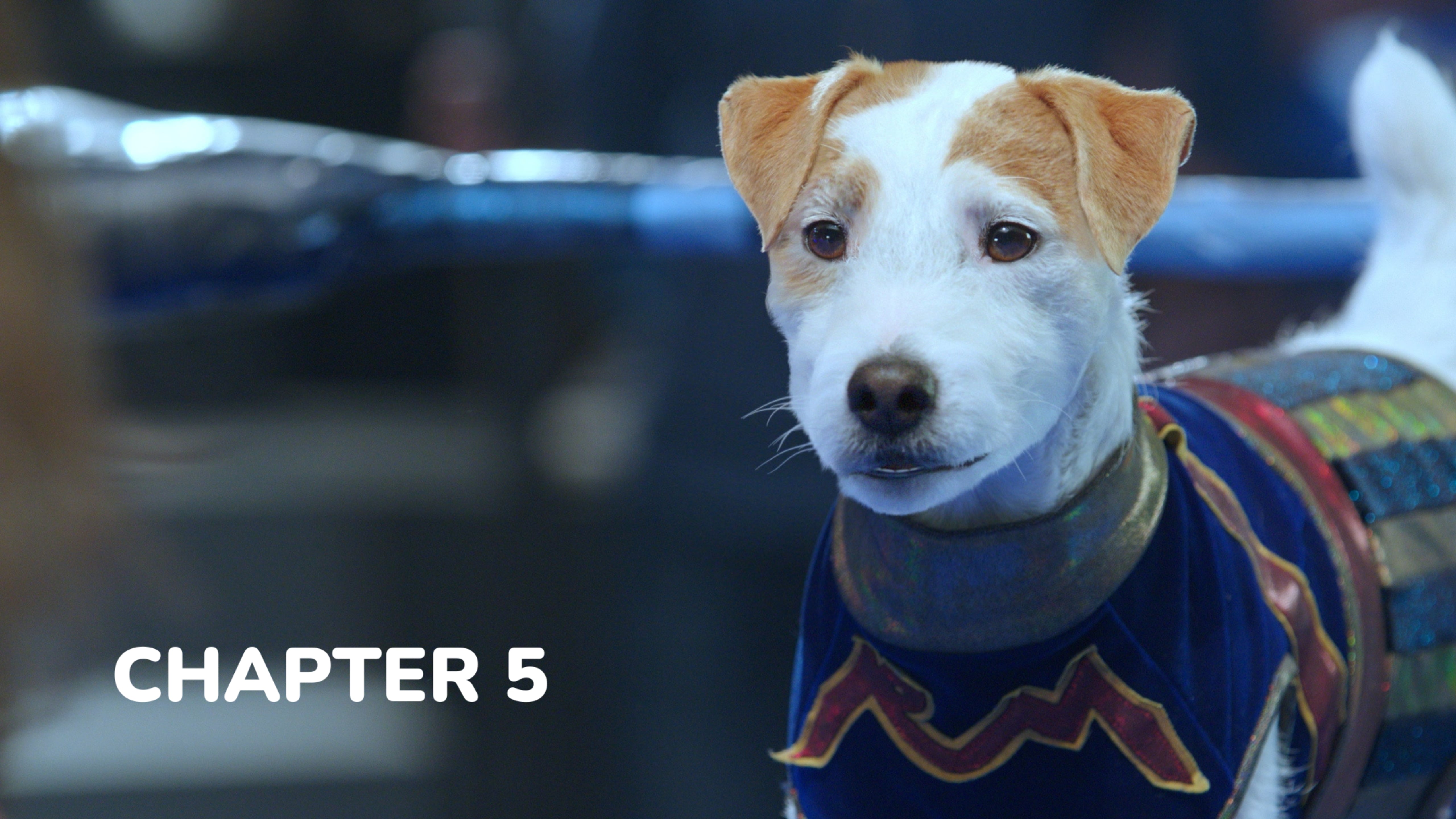 Russell Madness - Chapter 5: Welcome to the Big Show Kid