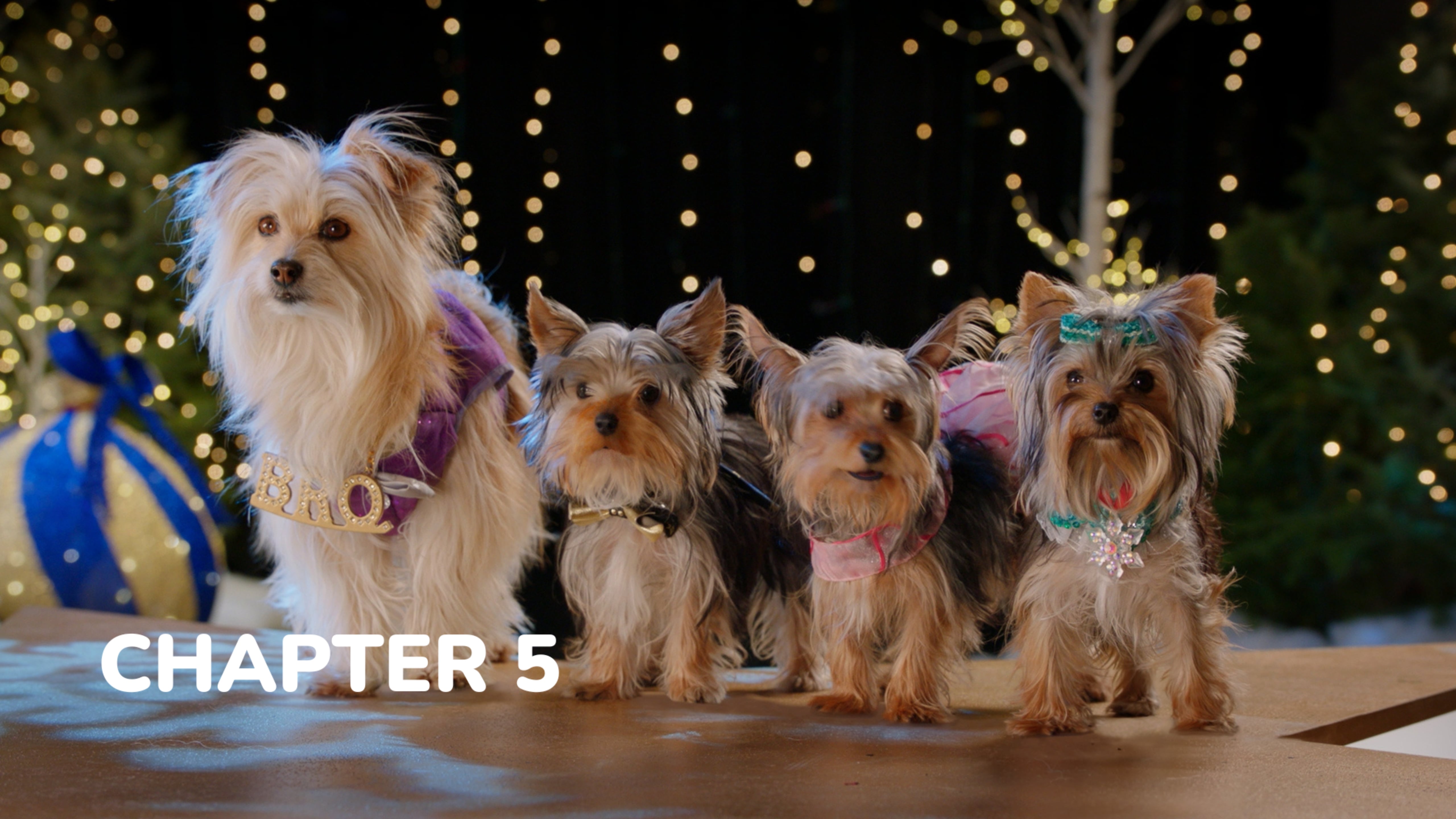 Puppy Star Christmas - Chapter 5: Taking Christmas Back