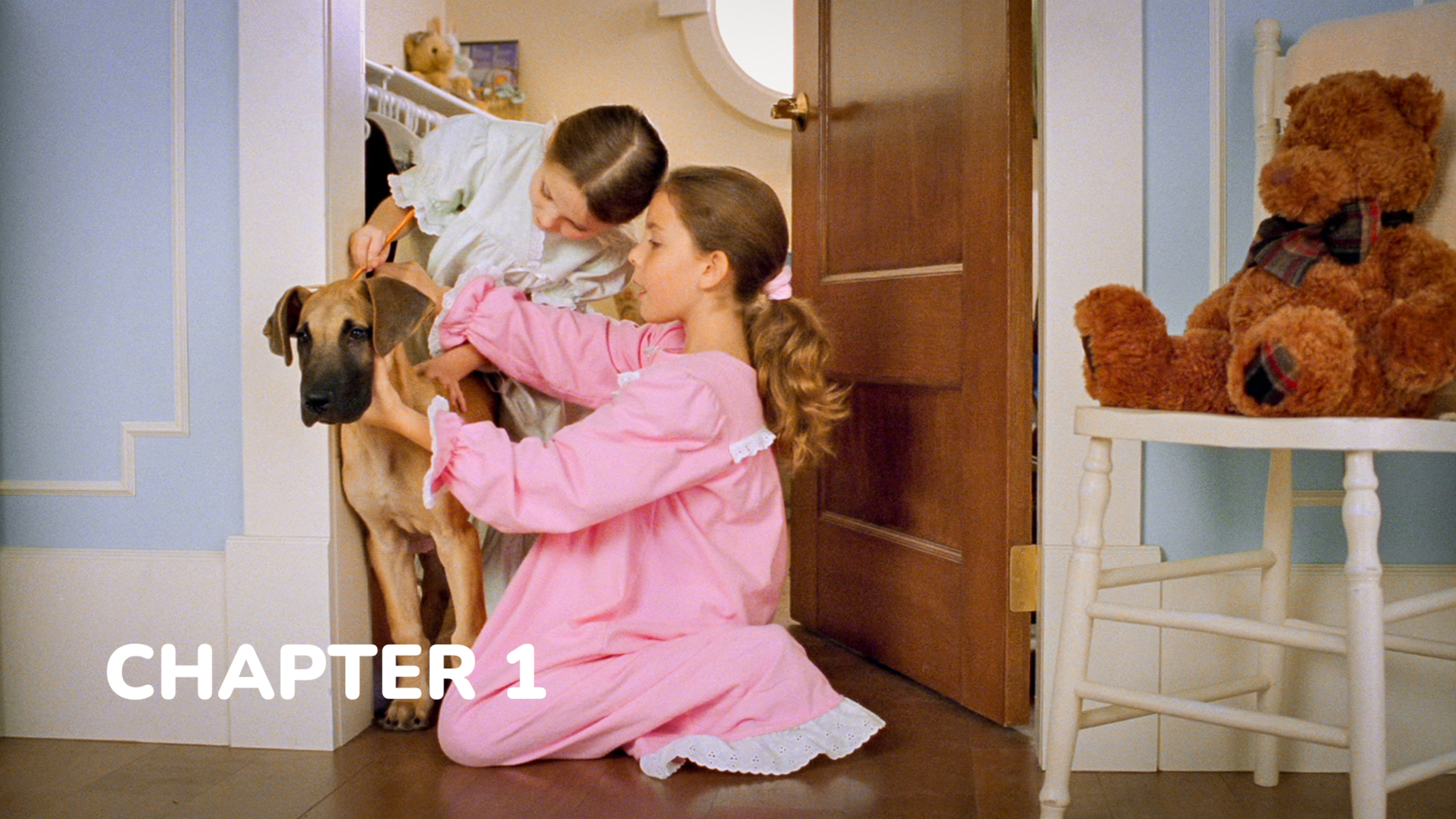 Chestnut: Hero of Central Park - Chapter 1