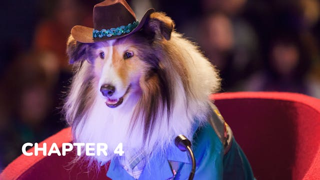 Pup Star - Chapter 4: A Tiny Star