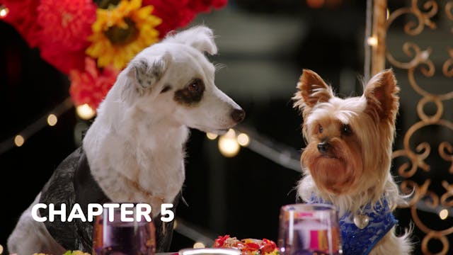 Pup Star: World Tour - Chapter 5: The...