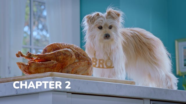 Puppy Star Christmas - Chapter 2: Wha...