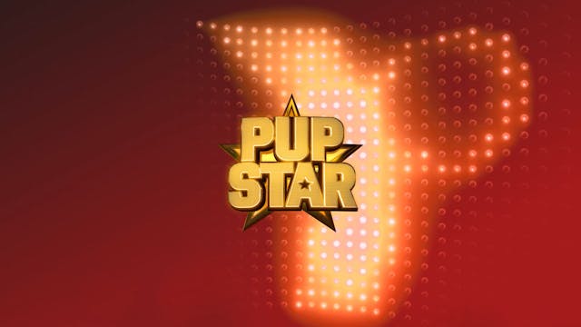 Pup Star: Belong // Music Video