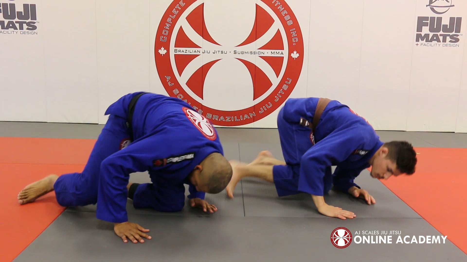 Bow and Arrow Choke from Back Control