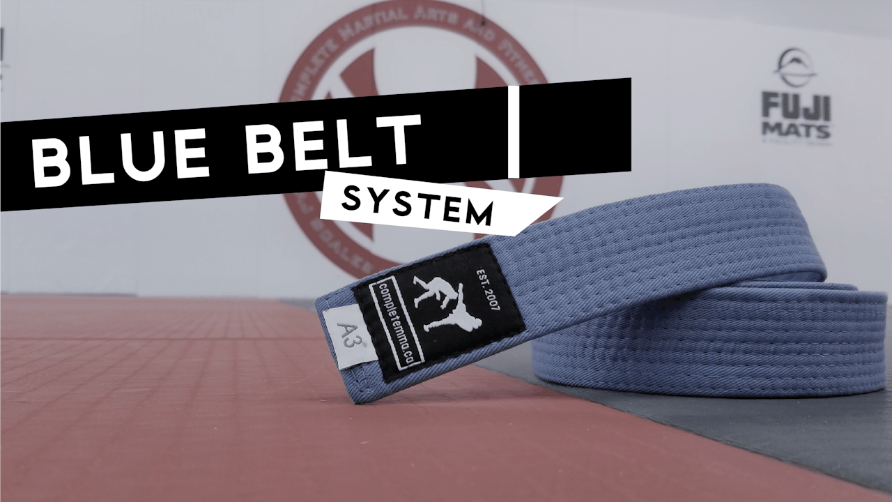 Blue Belt System 1