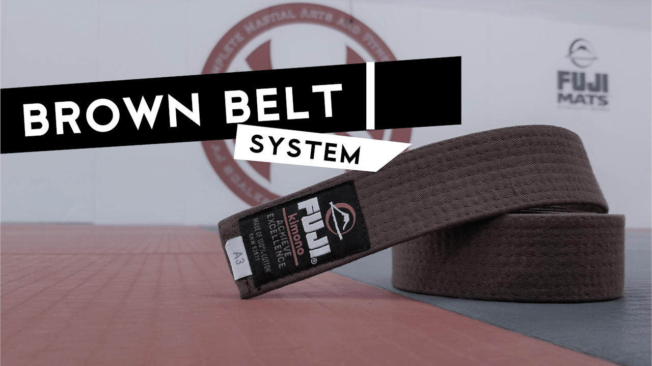Brown Belt System 1
