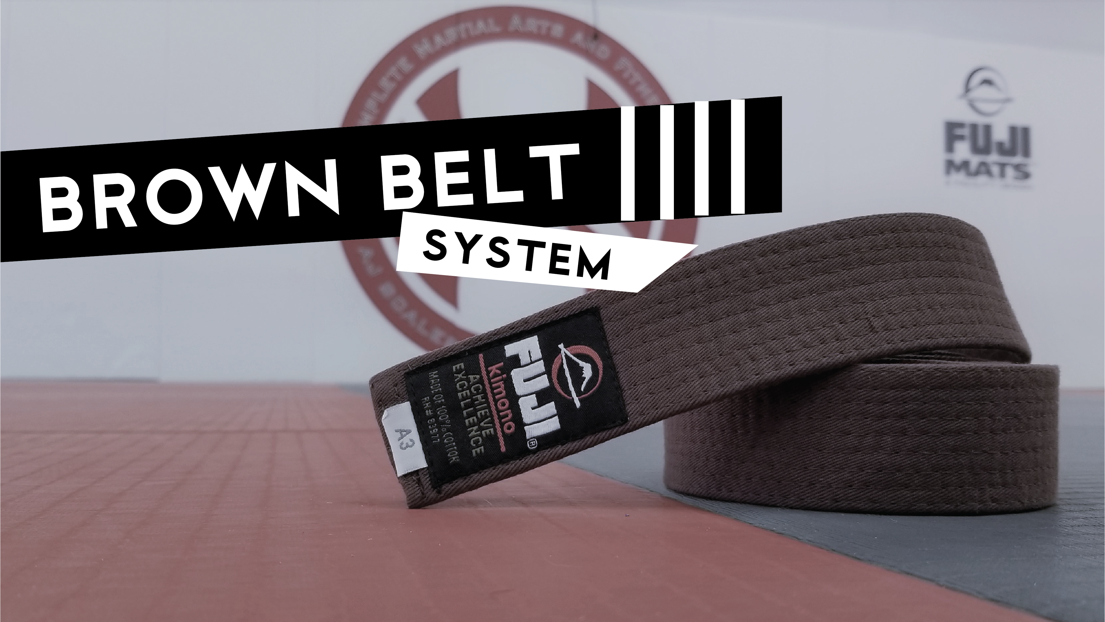 Brown Belt System 4