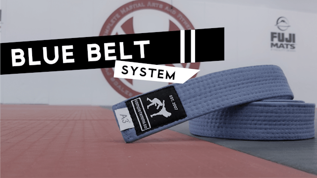 Blue Belt System 2