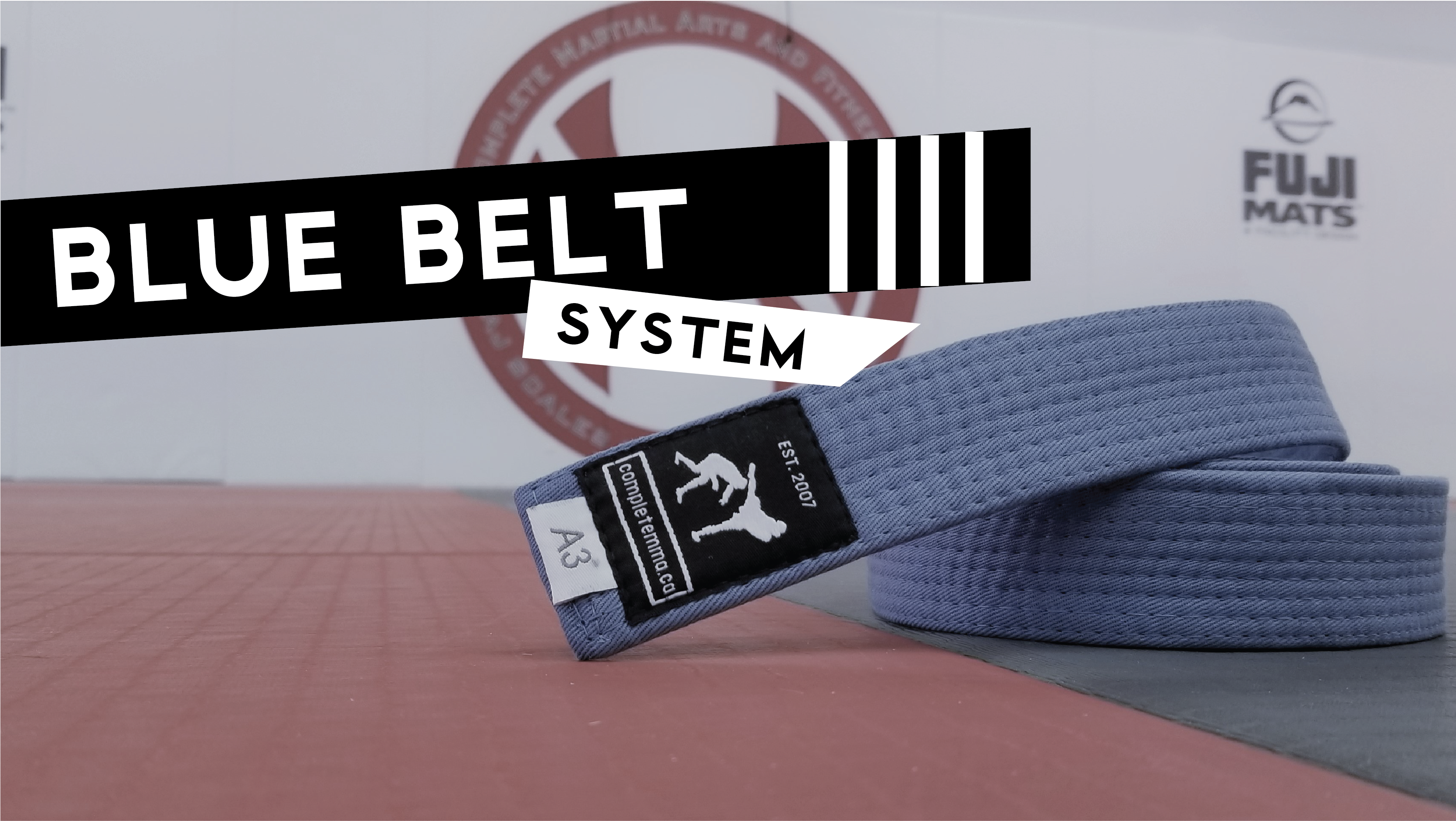 Blue Belt System 4