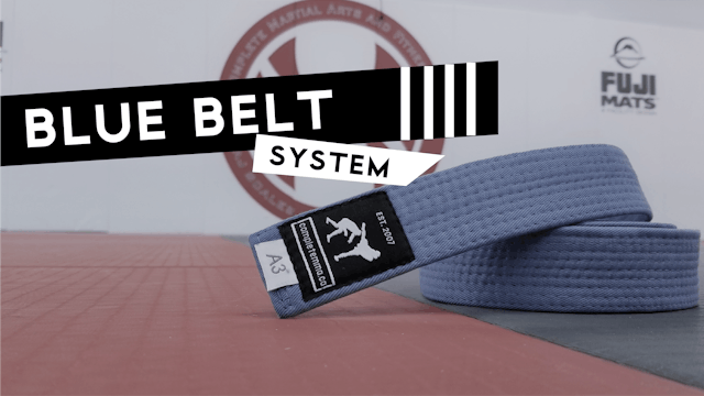 Blue Belt System 4