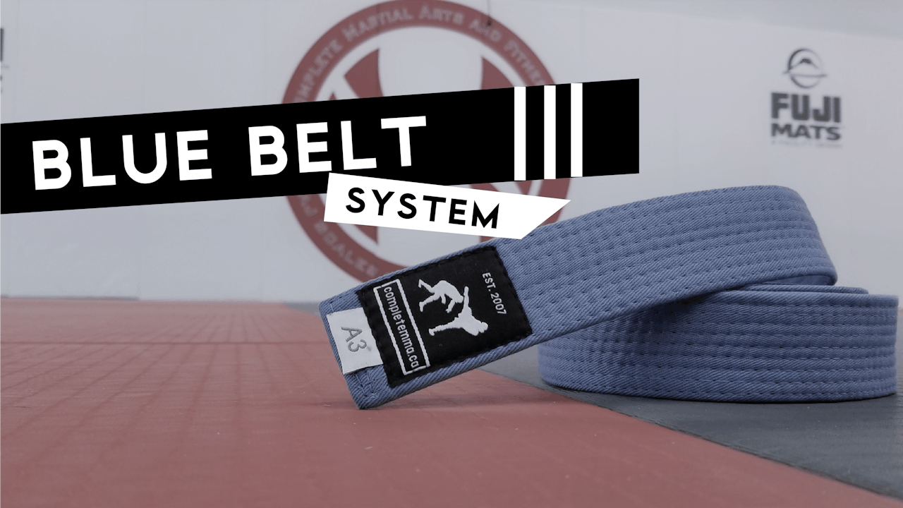 Blue Belt System 3