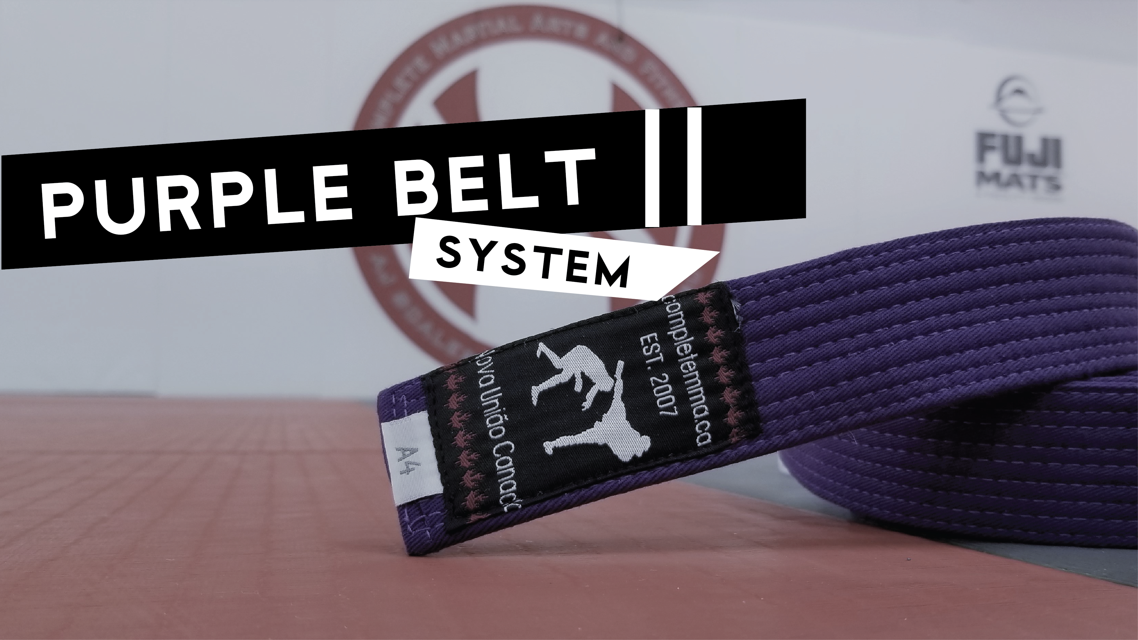 Purple Belt System 2