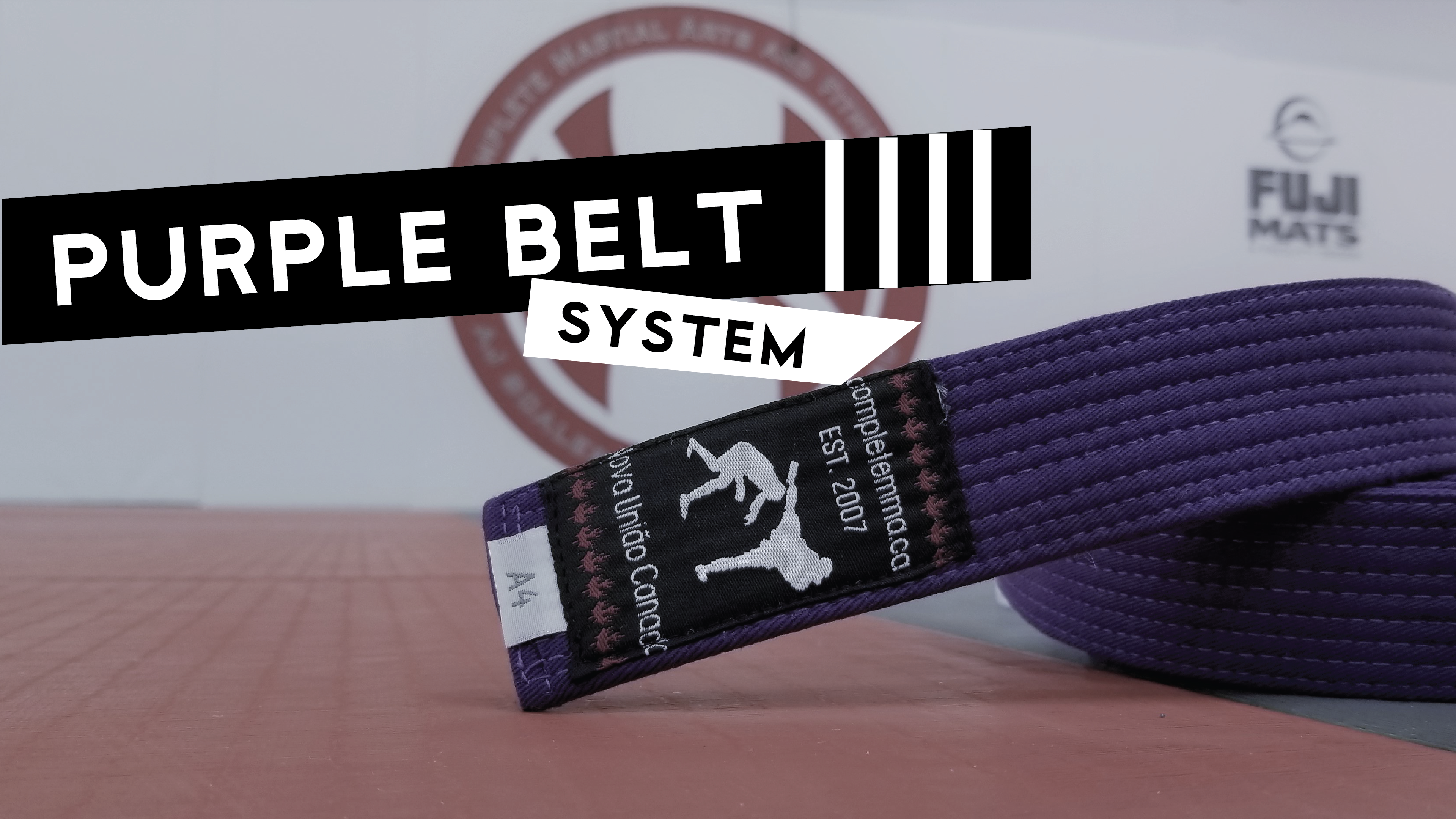 Purple Belt System 4