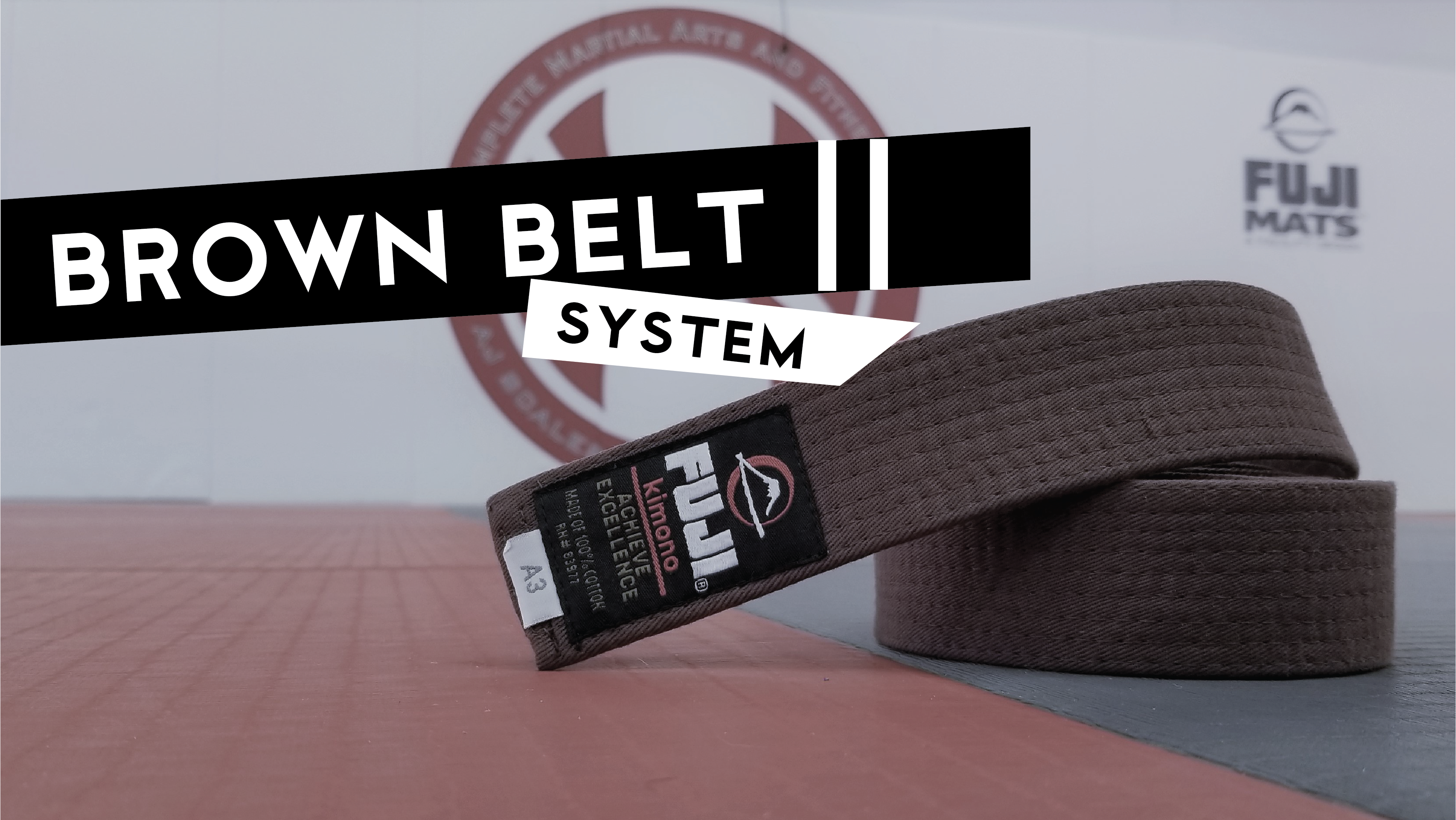 Brown Belt System 2