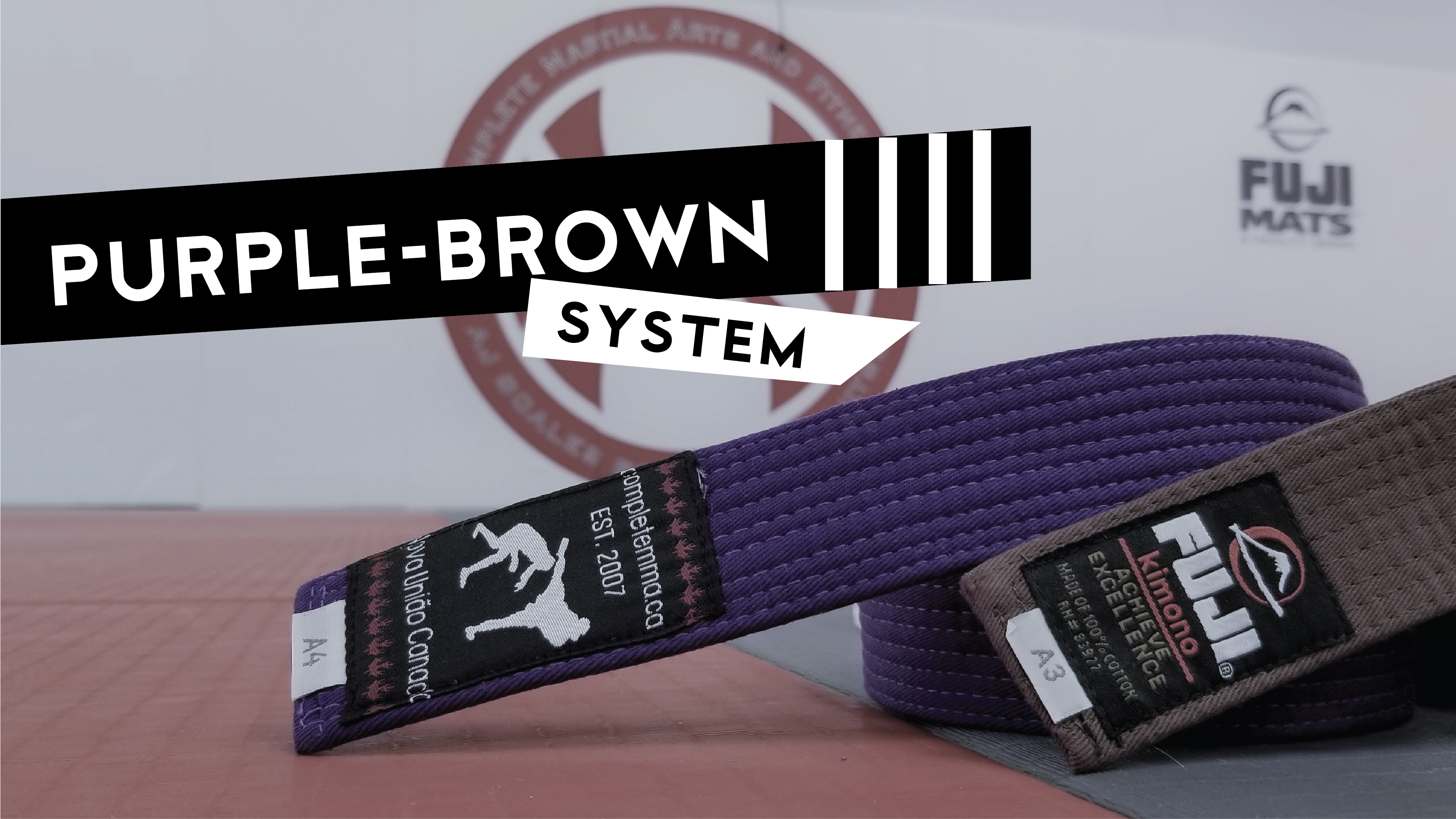 Purple Belt System 5