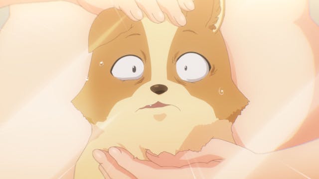 My Life as Inukai-san's Dog. - S1E01 - Pfötchen (OmU)