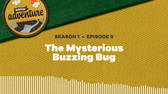 The Mysterious Buzzing Bug