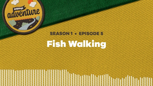Fish Walking