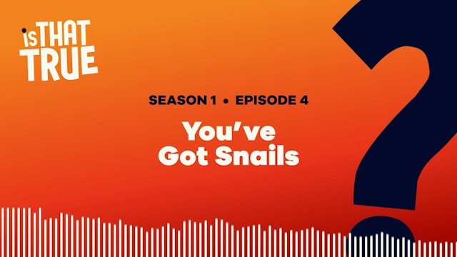 You've Got Snails!