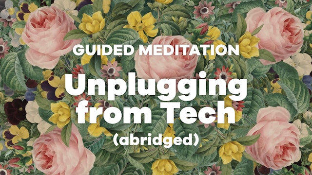 Unplugging from Tech, abridged