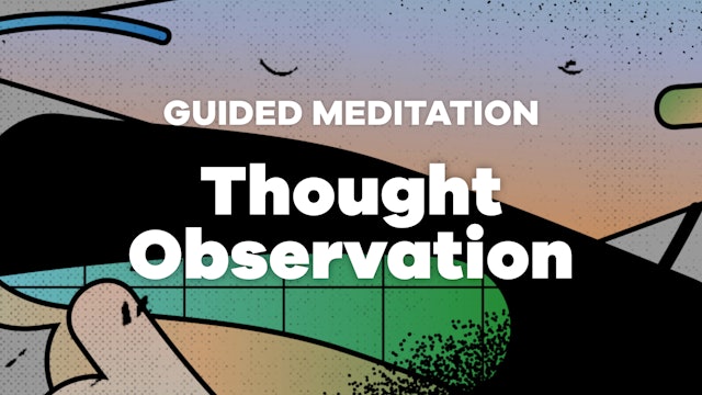 Thought Observation