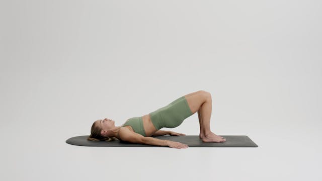 Demo: Bridge Series (Articulating and...